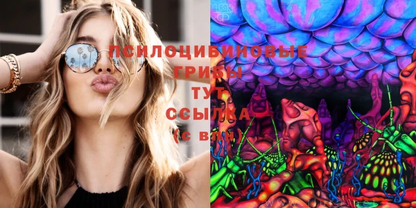 соль курить ск Медвежьегорск