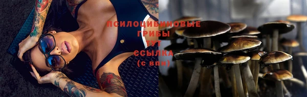 соль курить ск Медвежьегорск