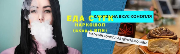 индика Елабуга