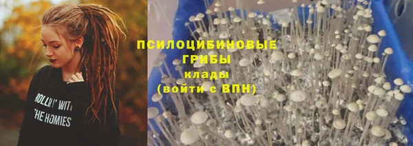 соль курить ск Медвежьегорск