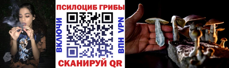 Псилоцибиновые грибы мухоморы  OMG онион  Липки  купить  